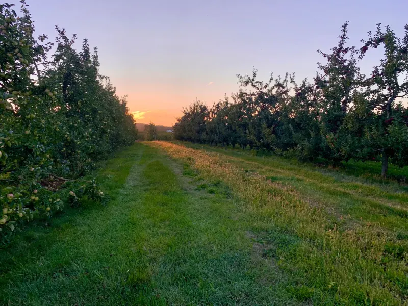 行业应用软件光盘在海南企业数据采集中的选型要点