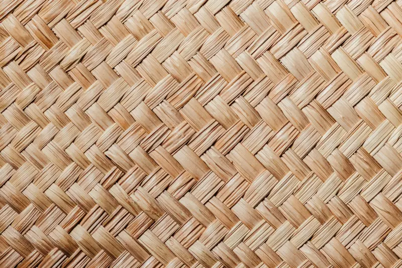 业务管理软件光盘与云端部署方案的对比分析
