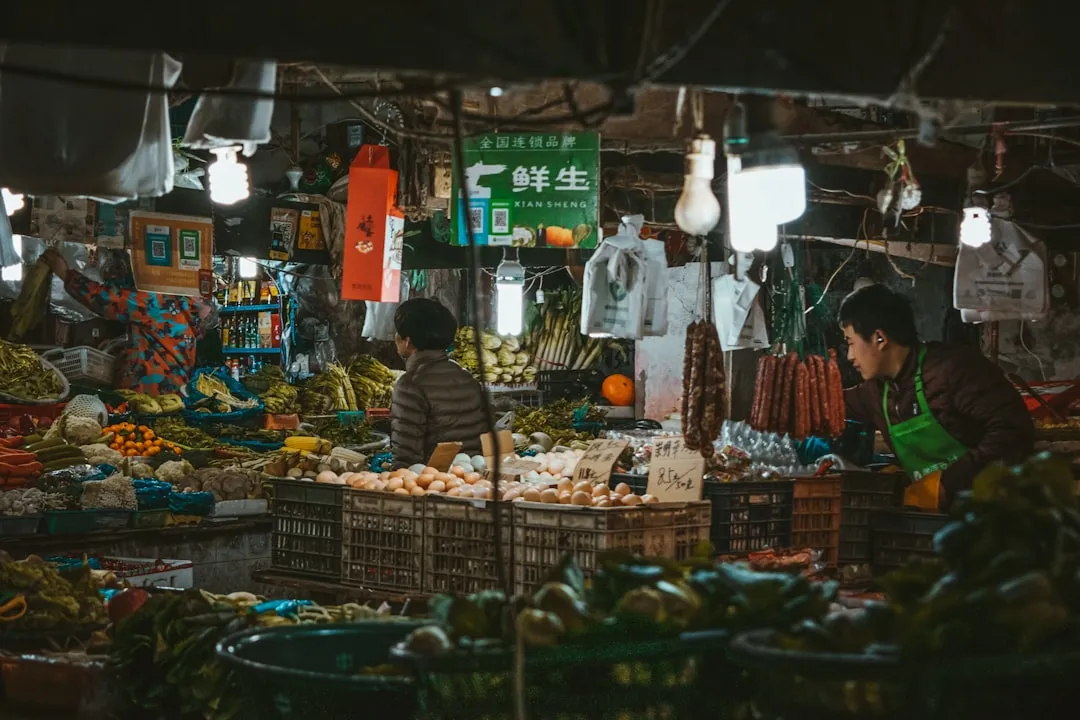 东方双新文科技定制软件光盘在企业管理中的应用方案解析